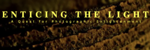 Enticing the light